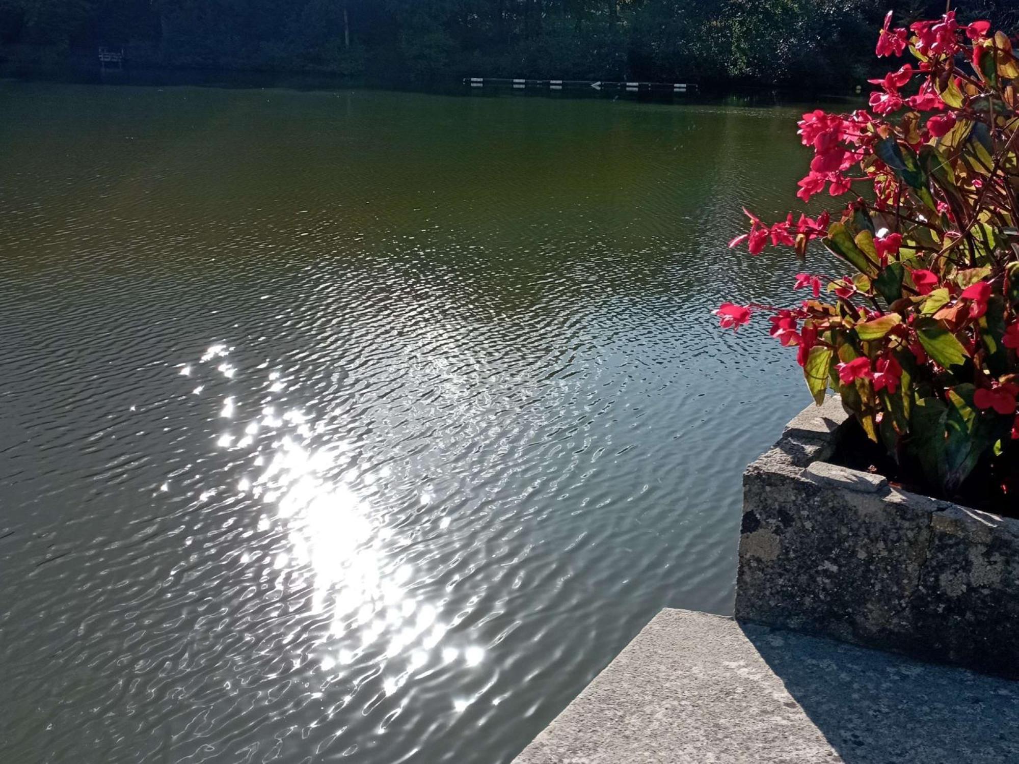 Ibis Les Etangs Des Moines Hotell Fourmies Exteriör bild